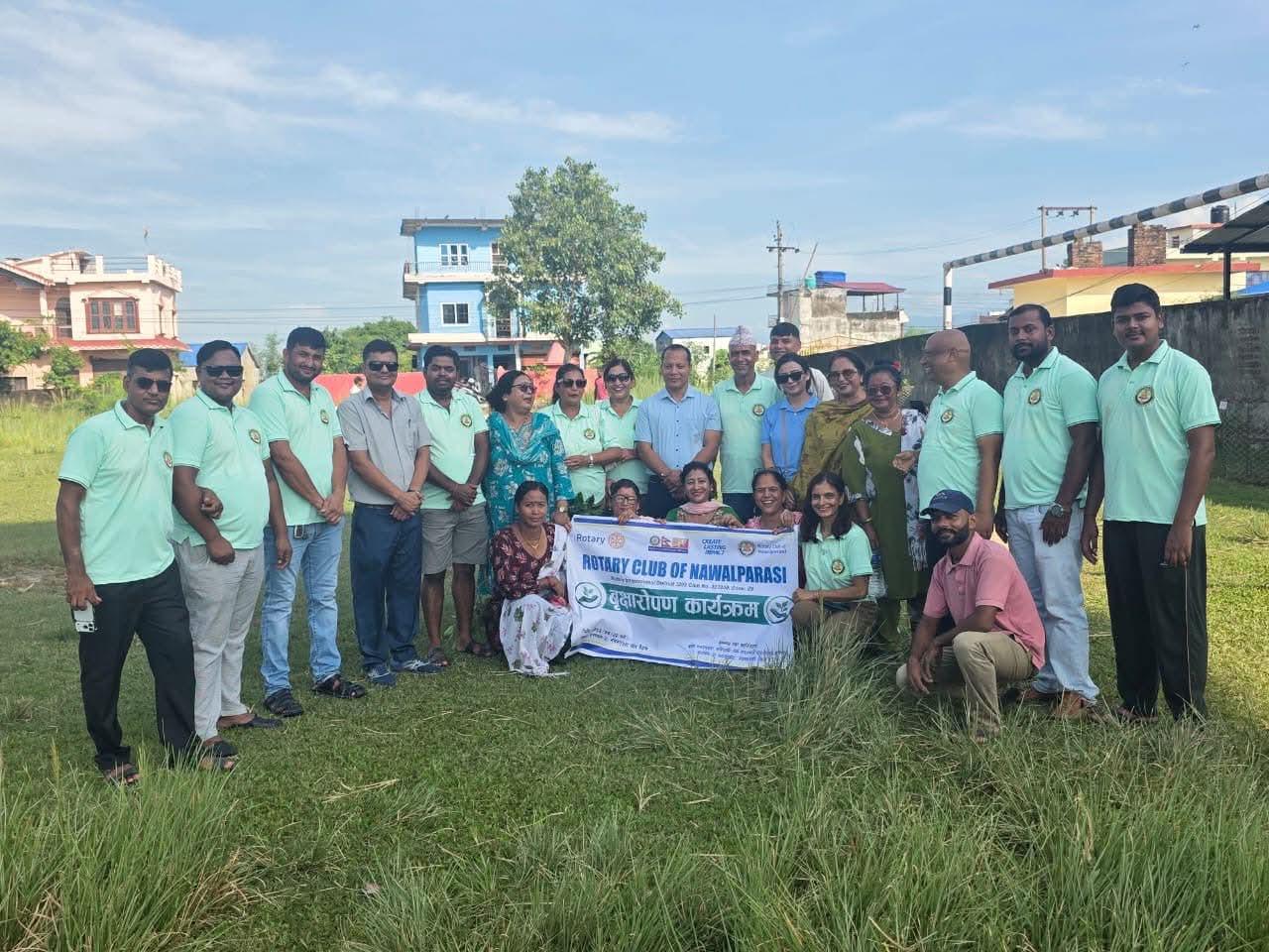 Tree Plantation